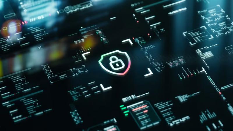 阳东县软件开发公司